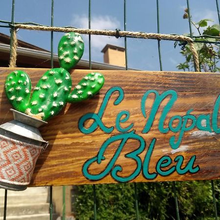 Le Nopal Bleu Apartment Tarascon-sur-Ariege Luaran gambar