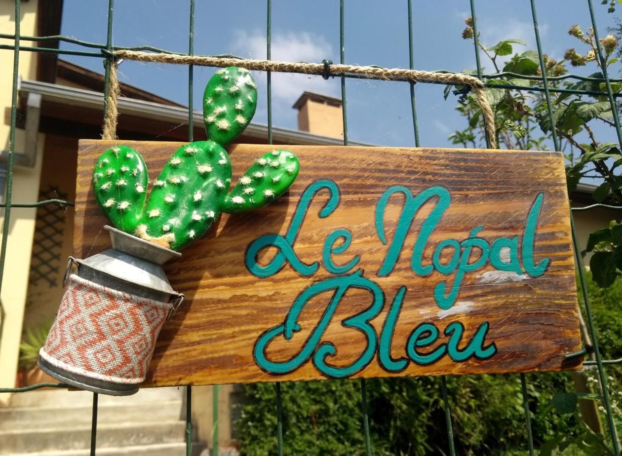 Le Nopal Bleu Apartment Tarascon-sur-Ariege Luaran gambar
