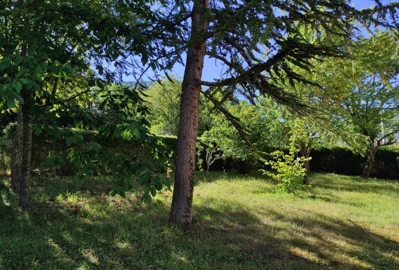 Le Nopal Bleu Apartment Tarascon-sur-Ariege Luaran gambar